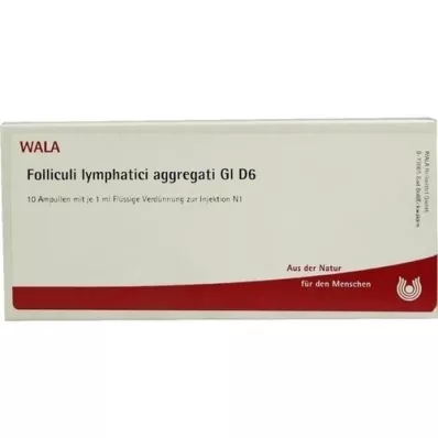 FOLLICULI LYMPHATICI aggregati GL D 6 ampolas, 10X1 ml