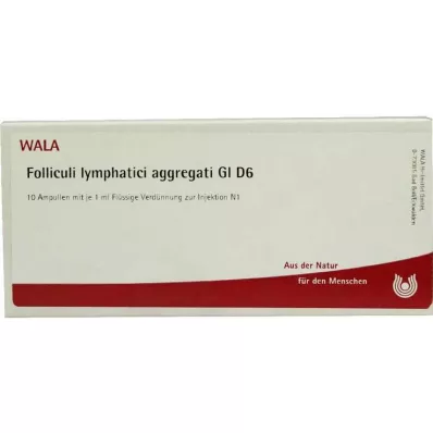 FOLLICULI LYMPHATICI aggregati GL D 6 ampolas, 10X1 ml FOLLICULI LYMPHATICI aggregati GL D 6 ampolas, 10X1 ml