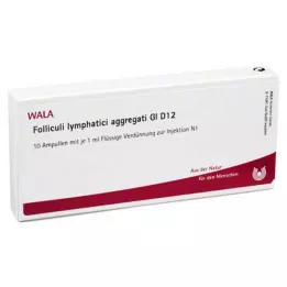 FOLLICULI LYMPHATICI aggregati GL D 12 ampolas, 10X1 ml