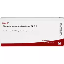 GLANDULA SUPRARENALES dextra GL D 8 ampolas, 10X1 ml