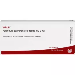 GLANDULA SUPRARENALES dextra GL D 12 ampolas, 10X1 ml