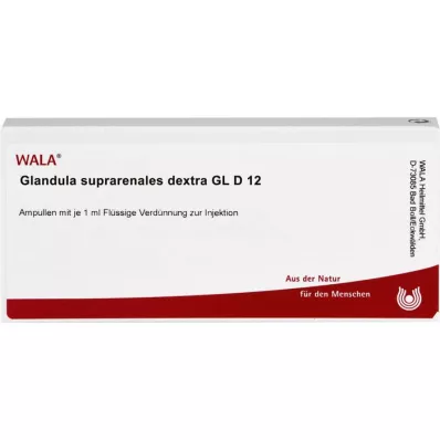 GLANDULA SUPRARENALES dextra GL D 12 ampolas, 10X1 ml