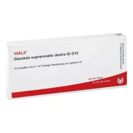 GLANDULA SUPRARENALES dextra GL D 12 ampolas, 10X1 ml