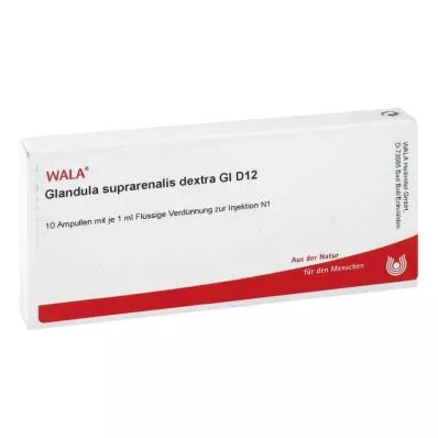 GLANDULA SUPRARENALES dextra GL D 12 ampolas, 10X1 ml GLANDULA SUPRARENALES dextra GL D 12 ampolas, 10X1 ml