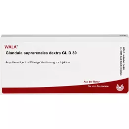 GLANDULA SUPRARENALES dextra GL D 30 ampolas, 10X1 ml