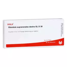 GLANDULA SUPRARENALES dextra GL D 30 ampolas, 10X1 ml