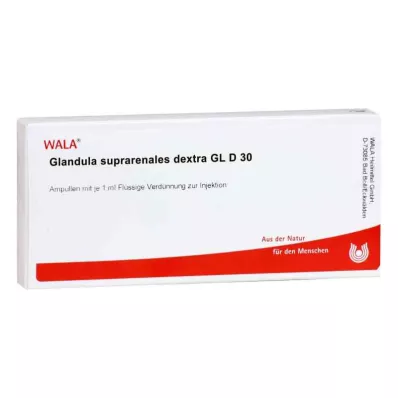 GLANDULA SUPRARENALES dextra GL D 30 ampolas, 10X1 ml GLANDULA SUPRARENALES dextra GL D 30 ampolas, 10X1 ml