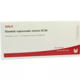 GLANDULA SUPRARENALIS sinistra GL D 4 ampolas, 10X1 ml