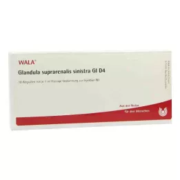 GLANDULA SUPRARENALIS sinistra GL D 4 ampolas, 10X1 ml