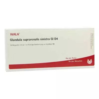 GLANDULA SUPRARENALIS sinistra GL D 4 ampolas, 10X1 ml GLANDULA SUPRARENALIS sinistra GL D 4 ampolas, 10X1 ml