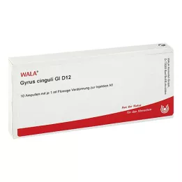 GYRUS cinguli GL D 12 ampolas, 10X1 ml
