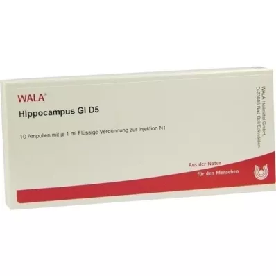 HIPPOCAMPUS GL D 5 ampolas, 10X1 ml
