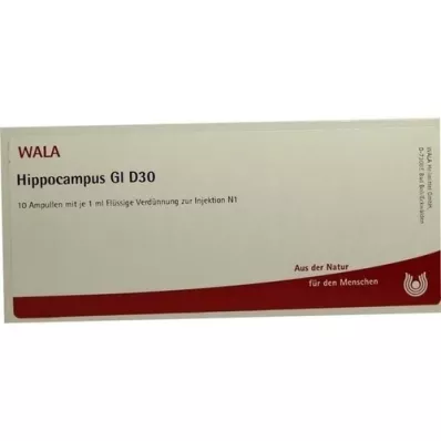 HIPPOCAMPUS GL D 30 ampolas, 10X1 ml
