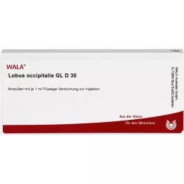 LOBUS occipitalis GL D 30 ampolas, 10X1 ml