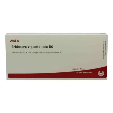 ECHINACEA E planta tota D 6 ampolas, 10X1 ml ECHINACEA E planta tota D 6 ampolas, 10X1 ml