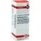 CHELIDONIUM EXTERNO, 20 ml