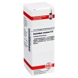 EQUISETUM ARVENSE Diluição D 6, 20 ml