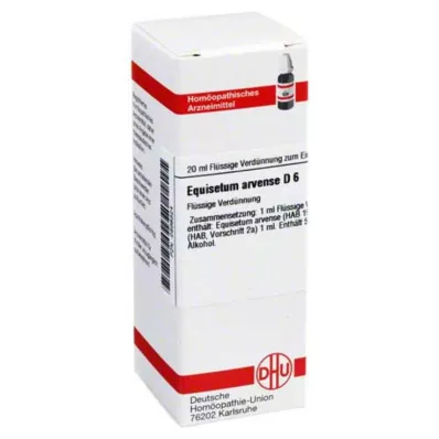 EQUISETUM ARVENSE Diluição D 6, 20 ml EQUISETUM ARVENSE Diluição D 6, 20 ml