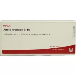 ARTERIA BRACHIALIS GL D 5 ampolas, 10X1 ml