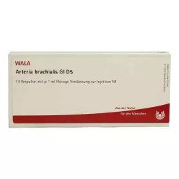 ARTERIA BRACHIALIS GL D 5 ampolas, 10X1 ml