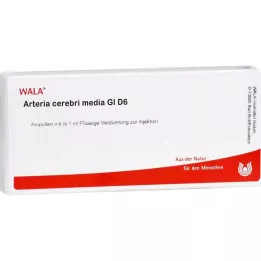ARTERIA CEREBRI meios GL D 6 ampolas, 10X1 ml