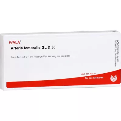 ARTERIA FEMORALIS GL D 30 ampolas, 10X1 ml
