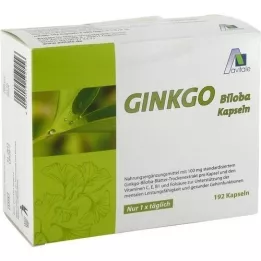 GINKGO Cápsulas de 100 mg+B1+C+E, 192 unid