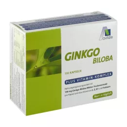 GINKGO Cápsulas de 100 mg+B1+C+E, 192 unid