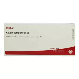 CAVUM tympani GL D 6 ampolas, 10X1 ml