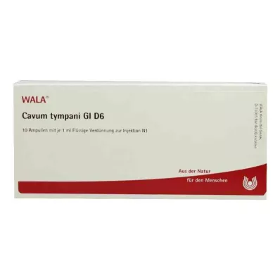 CAVUM tympani GL D 6 ampolas, 10X1 ml