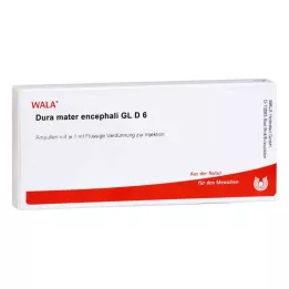 DURA MATER encephali GL D 6 ampolas, 10X1 ml