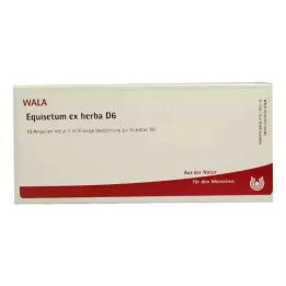 EQUISETUM EX Herba D 6 ampolas, 10X1 ml