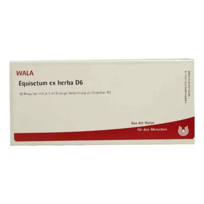 EQUISETUM EX Herba D 6 ampolas, 10X1 ml EQUISETUM EX Herba D 6 ampolas, 10X1 ml