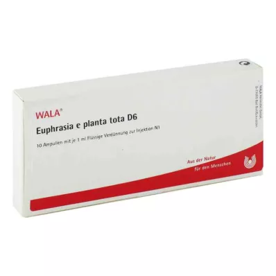 EUPHRASIA E planta tota D 6 ampolas, 10X1 ml EUPHRASIA E planta tota D 6 ampolas, 10X1 ml