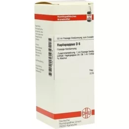 HAPLOPAPPUS Diluição D 6, 50 ml