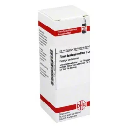 RHUS TOXICODENDRON Diluição C 30, 20 ml