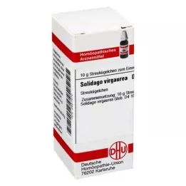 SOLIDAGO VIRGAUREA D 4 glóbulos, 10 g