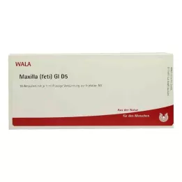 MAXILLA feti GL D 5 ampolas, 10X1 ml