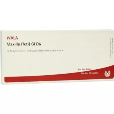 MAXILLA feti GL D 6 ampolas, 10X1 ml MAXILLA feti GL D 6 ampolas, 10X1 ml
