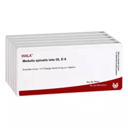 MEDULLA SPINALIS tota GL D 6 ampolas, 50X1 ml