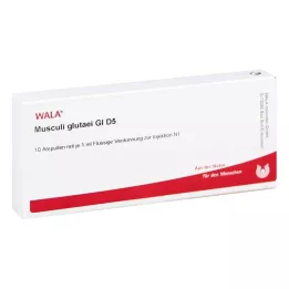 MUSCULI GLUTAEI GL D 5 ampolas, 10X1 ml
