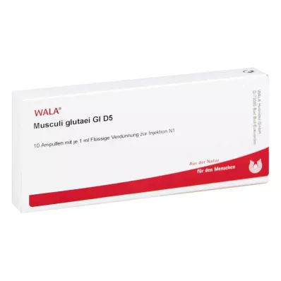 MUSCULI GLUTAEI GL D 5 ampolas, 10X1 ml