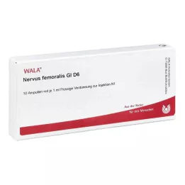 NERVUS FEMORALIS GL D 6 ampolas, 10X1 ml