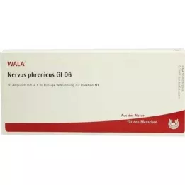 NERVUS PHRENICUS GL D 6 ampolas, 10X1 ml