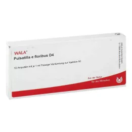 PULSATILLA E floribus D 4 ampolas, 10X1 ml