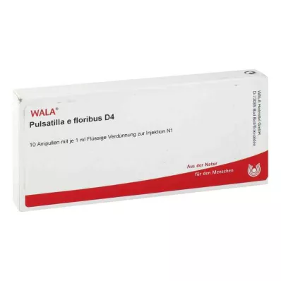 PULSATILLA E floribus D 4 ampolas, 10X1 ml