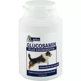 GLUCOSAMIN+CHONDROITIN Cápsulas para cães, 120 unid