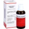 EUPHORBIA N Oligoplex Liquidum, 50 ml