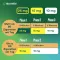 NICORETTE TX Patch 10 mg, 7 unidades