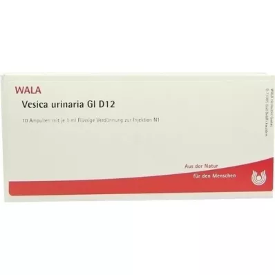 VESICA URINARIA GL D 12 ampolas, 10X1 ml